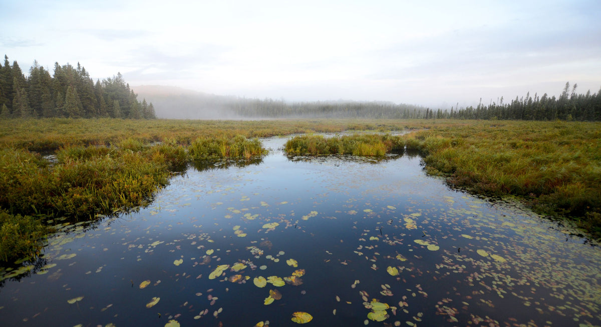Canoe Accessories North Water